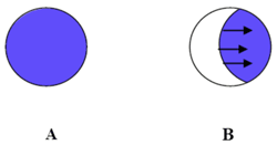 Figure 9. Movement of Tracer Due to Groundwater Flow (Adapted from ESTCP 2007)